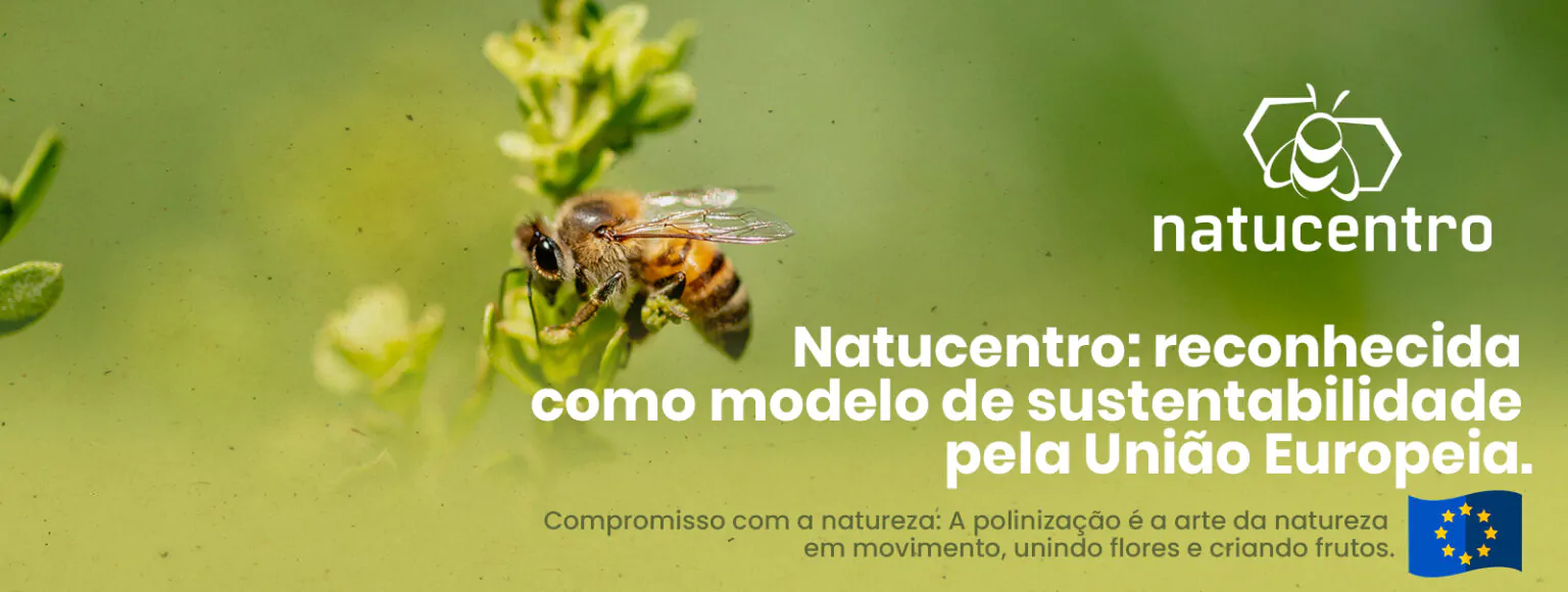 Reconhecimento União Europeia